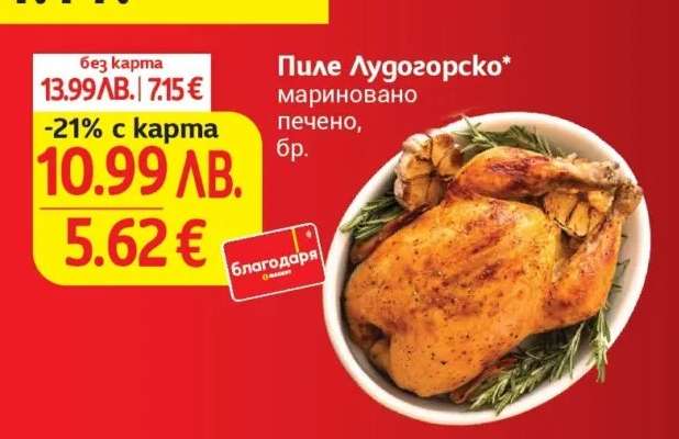 Пиле Лудогорско