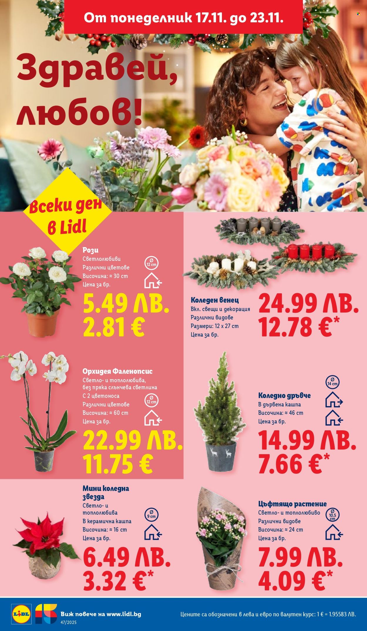 Брошура на Лидл - 17.11.2025 - 23.11.2025. Страница 48