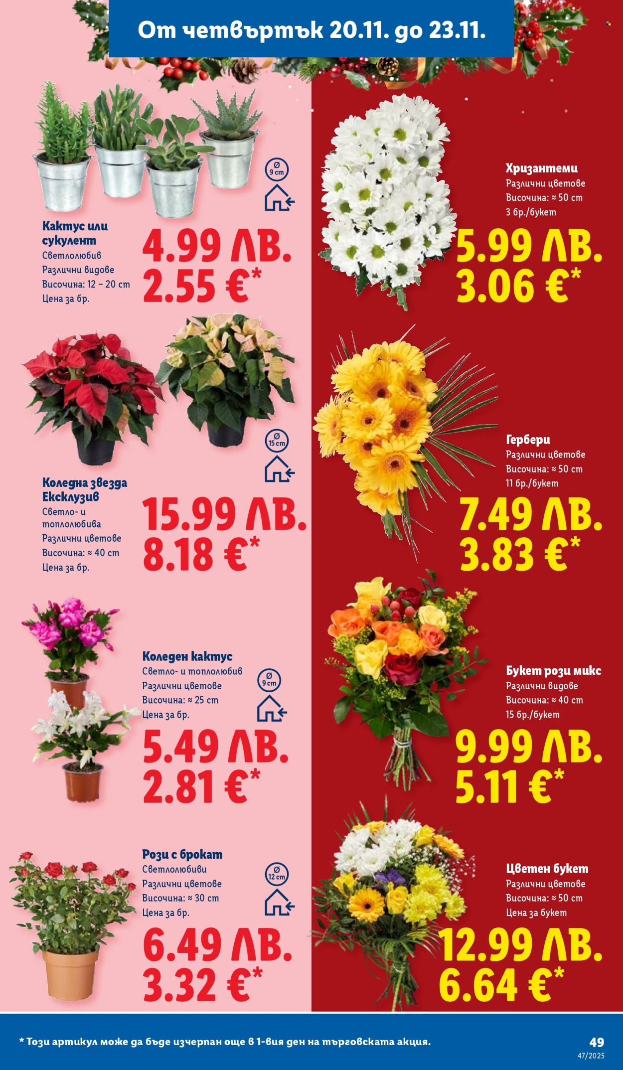 Брошура на Лидл - 17.11.2025 - 23.11.2025. Страница 49