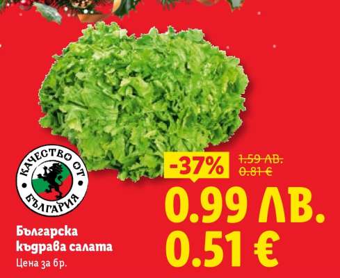 Българска къдрава салата