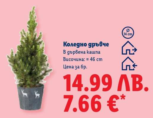 Коледно дръвче