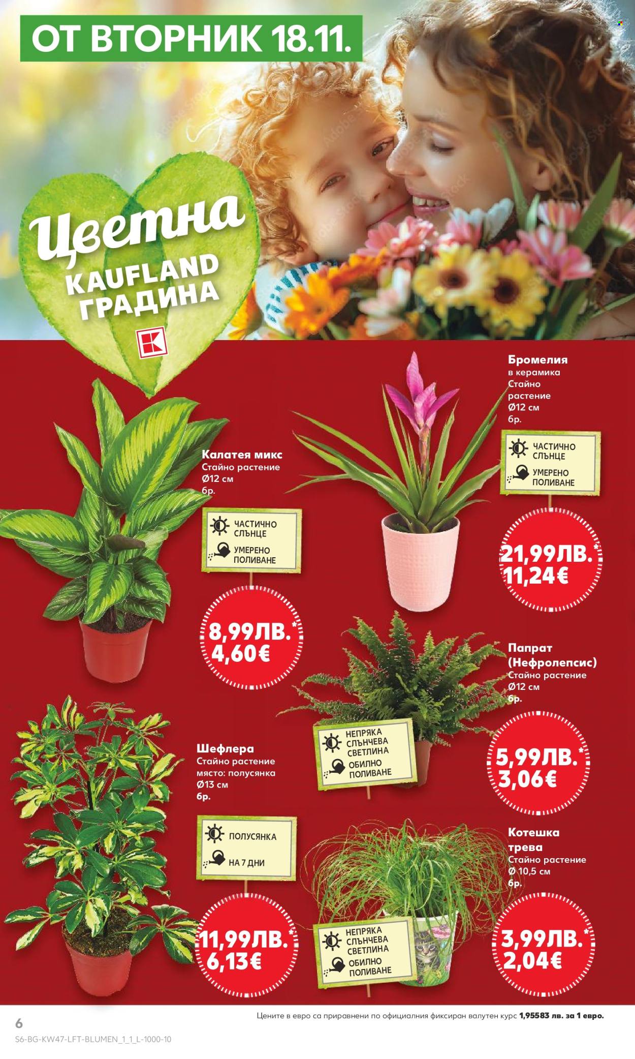 Брошура на Кауфланд - 17.11.2025 - 23.11.2025. Страница 6