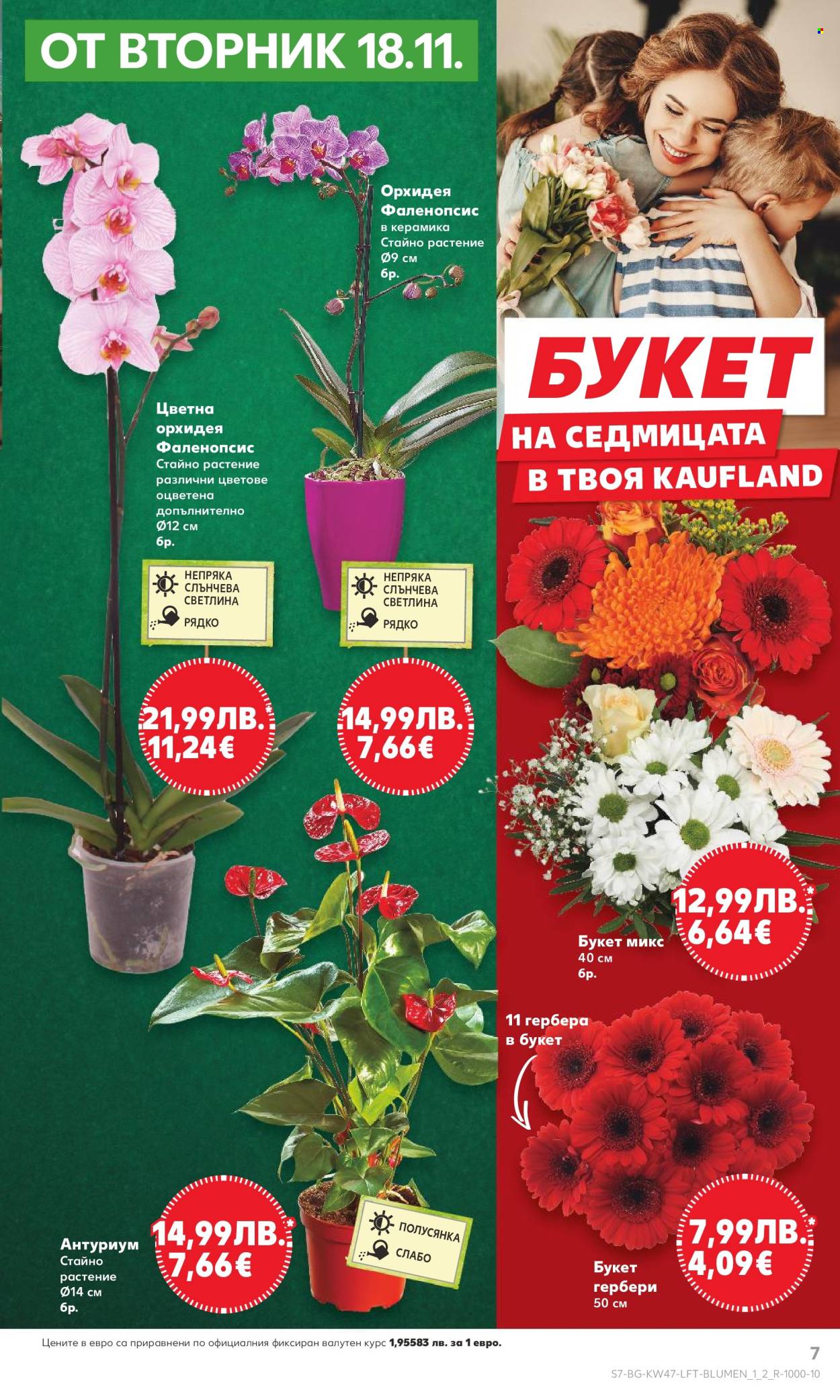 Брошура на Кауфланд - 17.11.2025 - 23.11.2025. Страница 7