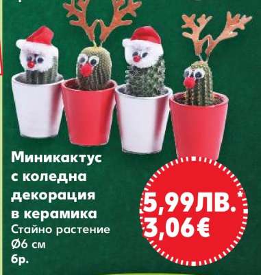 Миникактус с коледна декорация в керамика