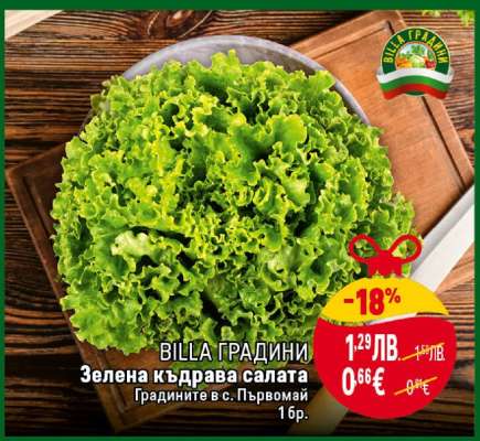 Зелена къдрава салата