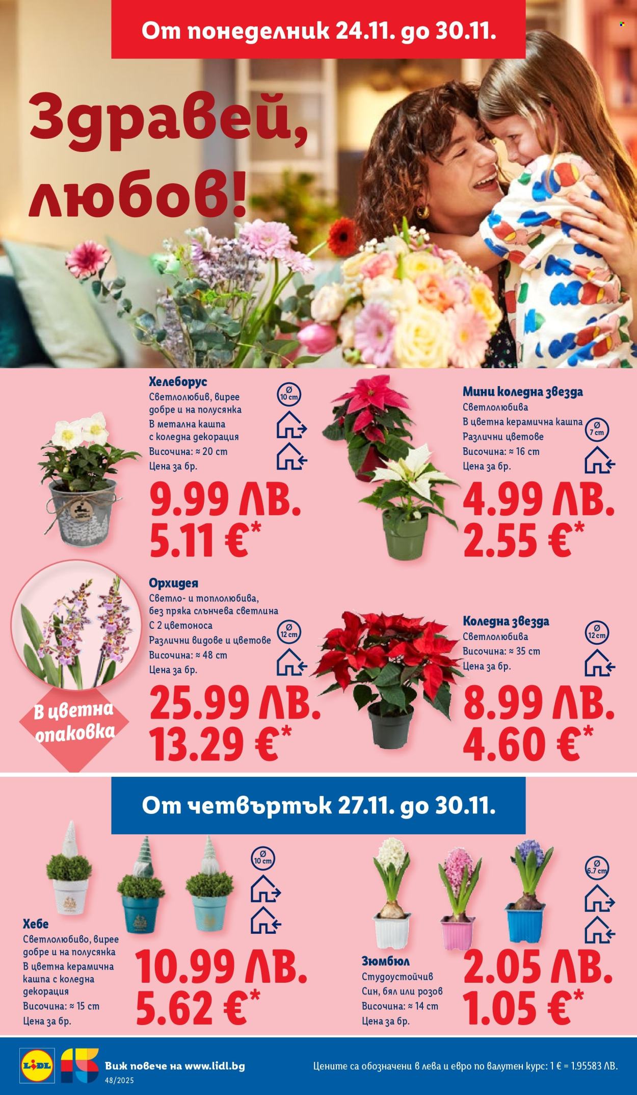 Брошура на Лидл - 24.11.2025 - 30.11.2025. Страница 54
