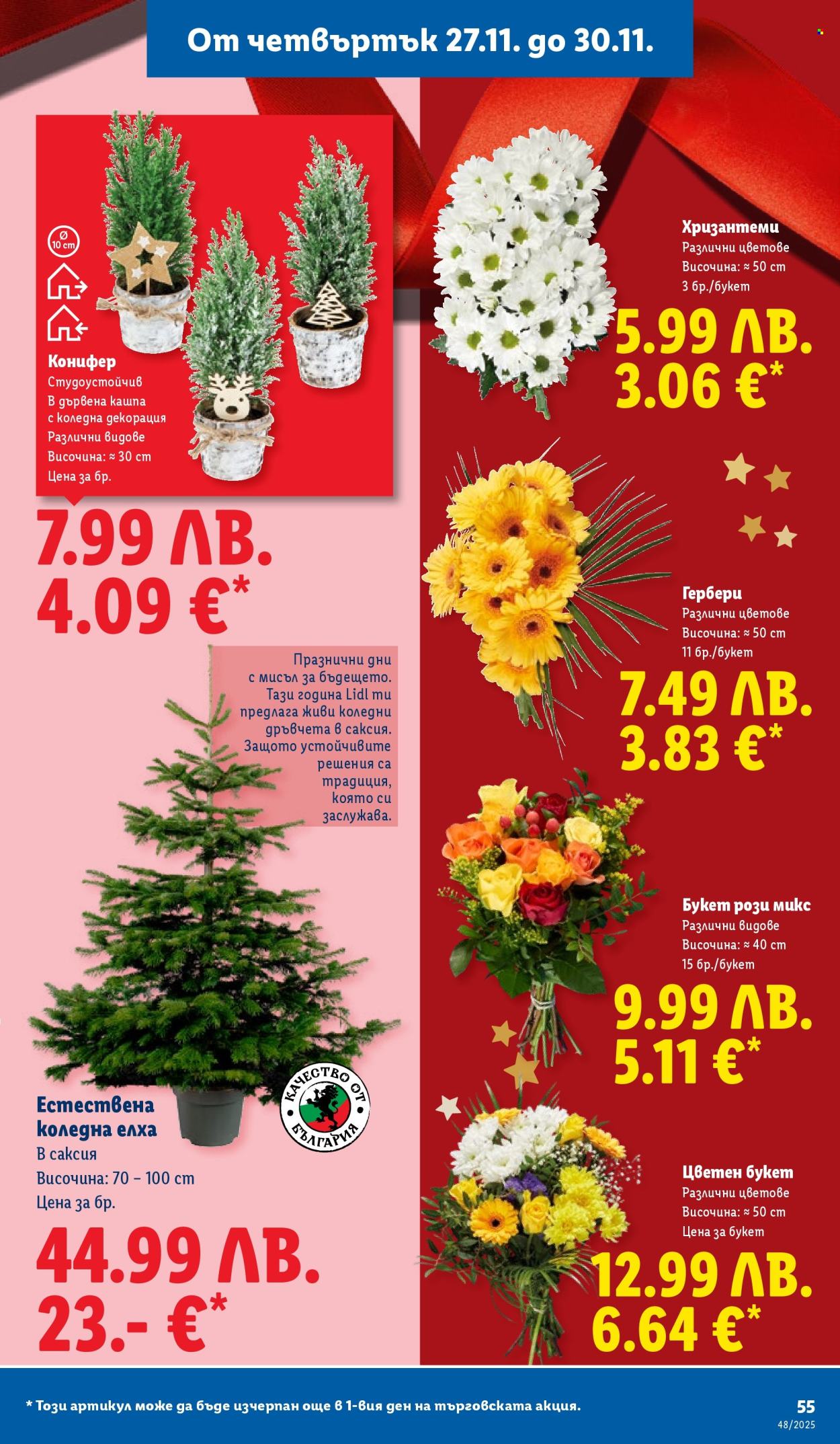 Брошура на Лидл - 24.11.2025 - 30.11.2025. Страница 55