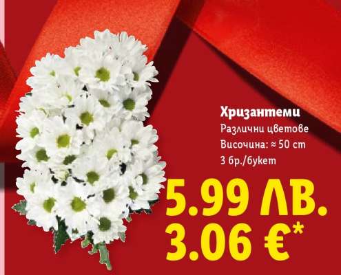 Хризантеми