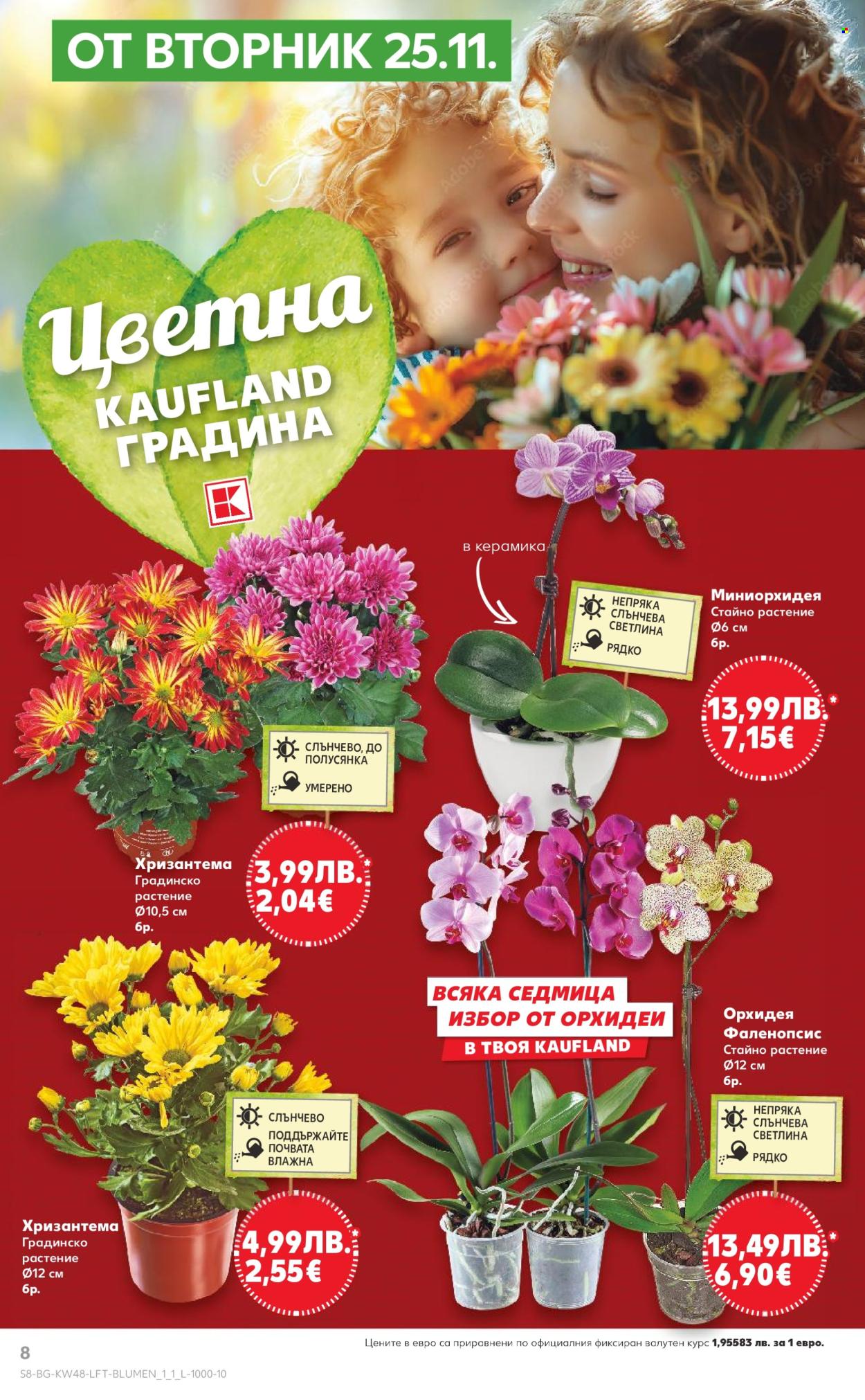 Брошура на Кауфланд - 24.11.2025 - 30.11.2025. Страница 8