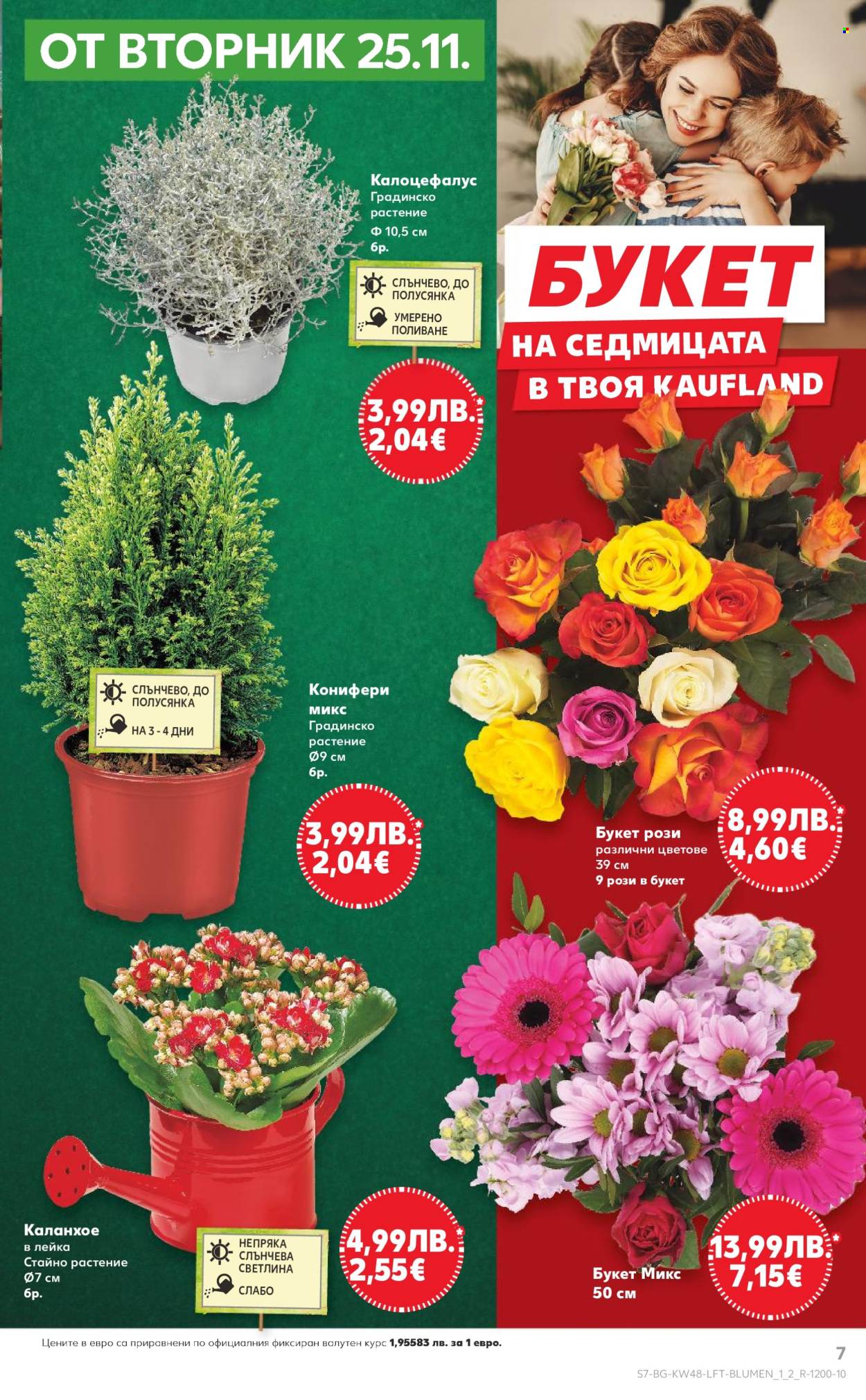 Брошура на Кауфланд - 24.11.2025 - 30.11.2025. Страница 7