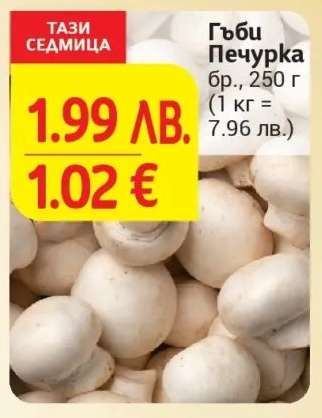 Гъби печурка