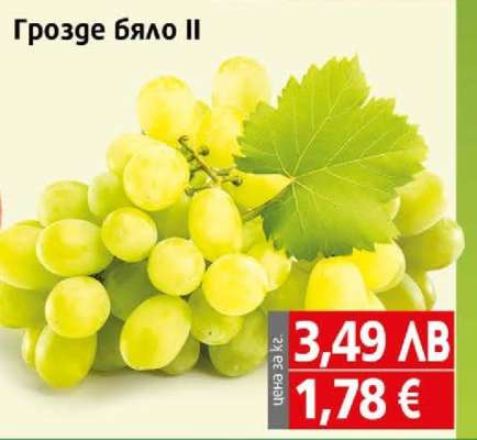 Грозде бяло II