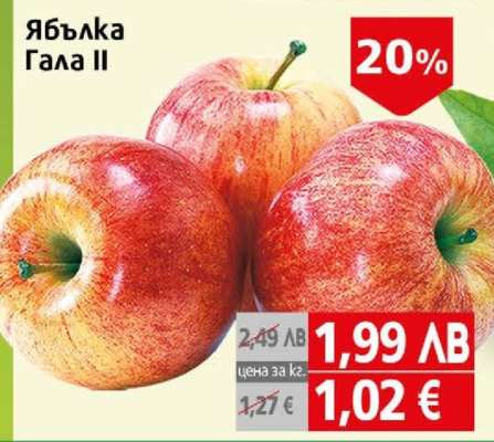 Ябълка Гала II