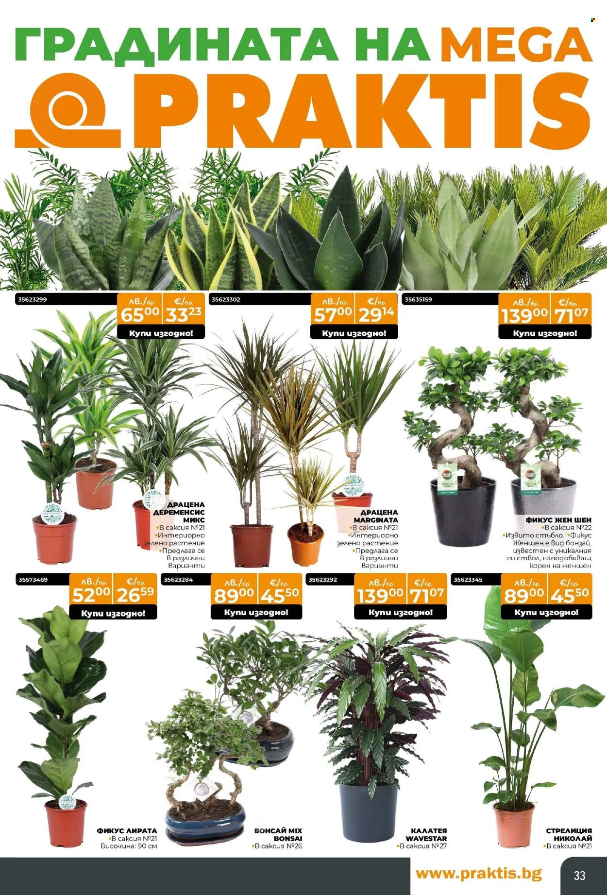 Брошура на Практис - 17.11.2025 - 14.12.2025. Страница 33