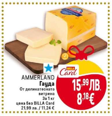 AMMERLAND Гауда