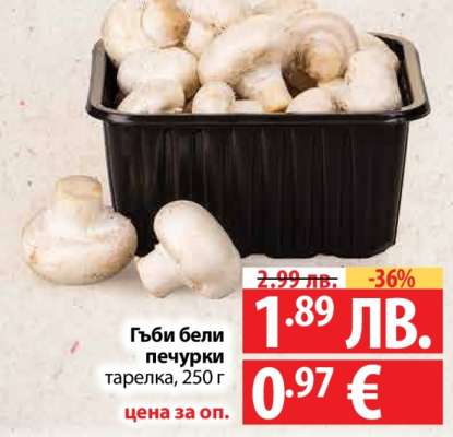 Гъби бели печурки