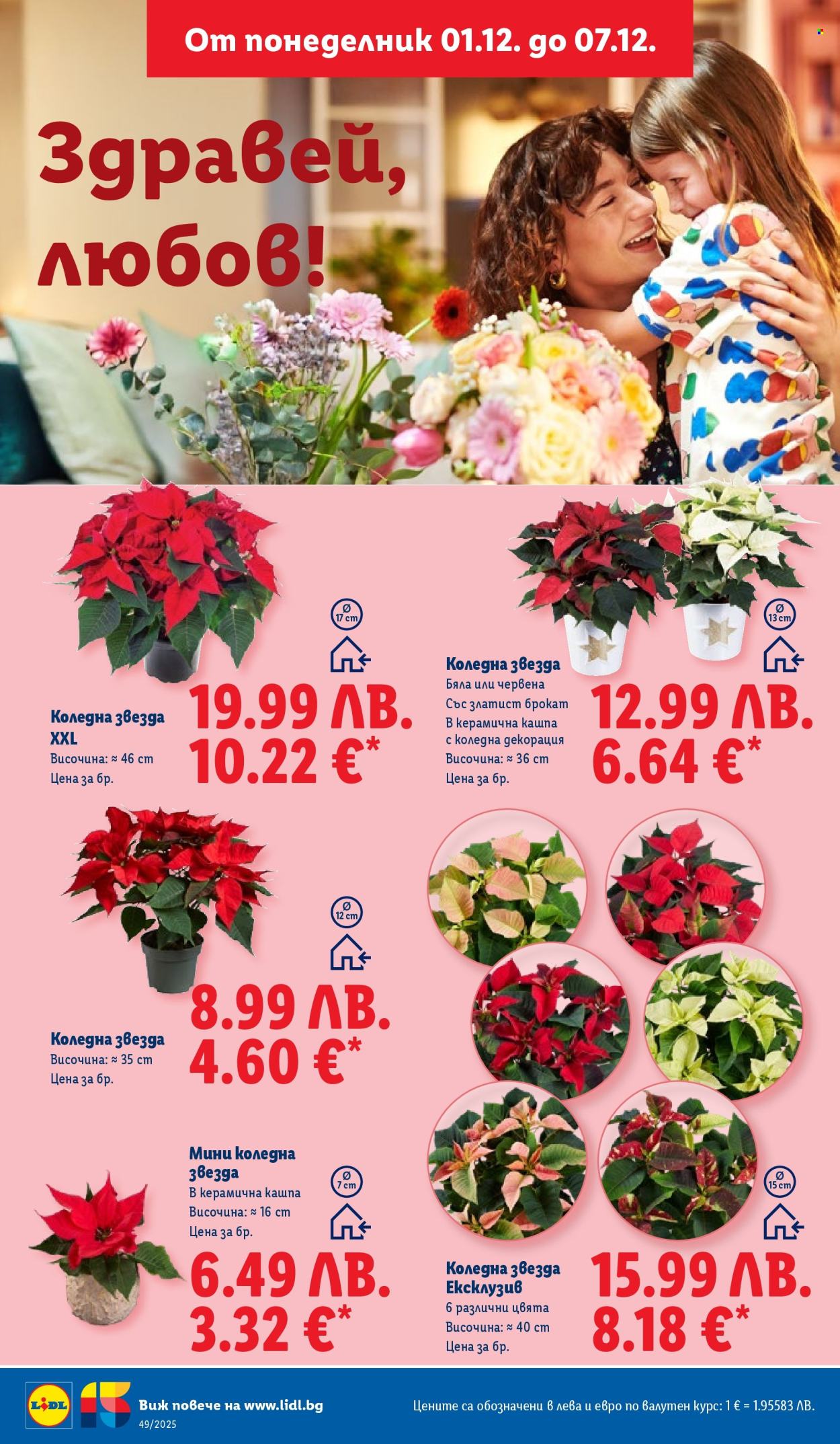 Брошура на Лидл - 01.12.2025 - 07.12.2025. Страница 50