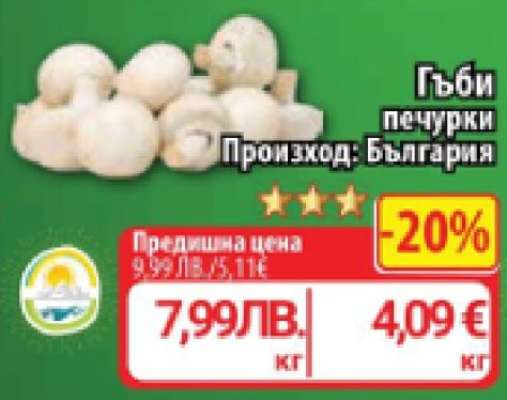 Гъби печурки