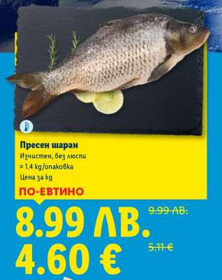 Пресен шаран