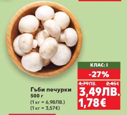 Гъби печурки