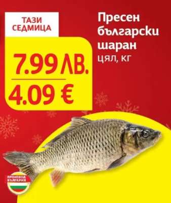 Пресен български шаран