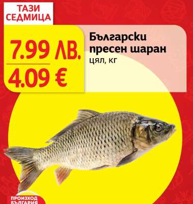 Български пресен шаран