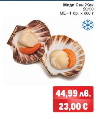 Миди Сен Жак