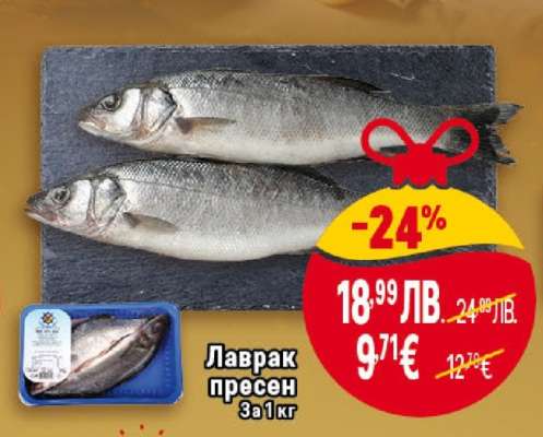 Лаврак пресен