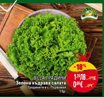 Зелена къдрава салата