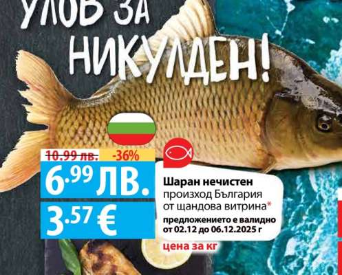 Шаран нечистен