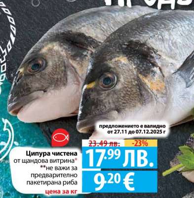 Ципура чистена