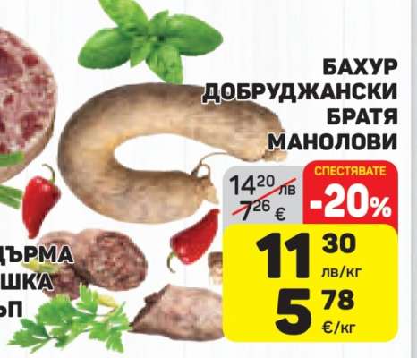 Бахур Добруджански Братя Манолови