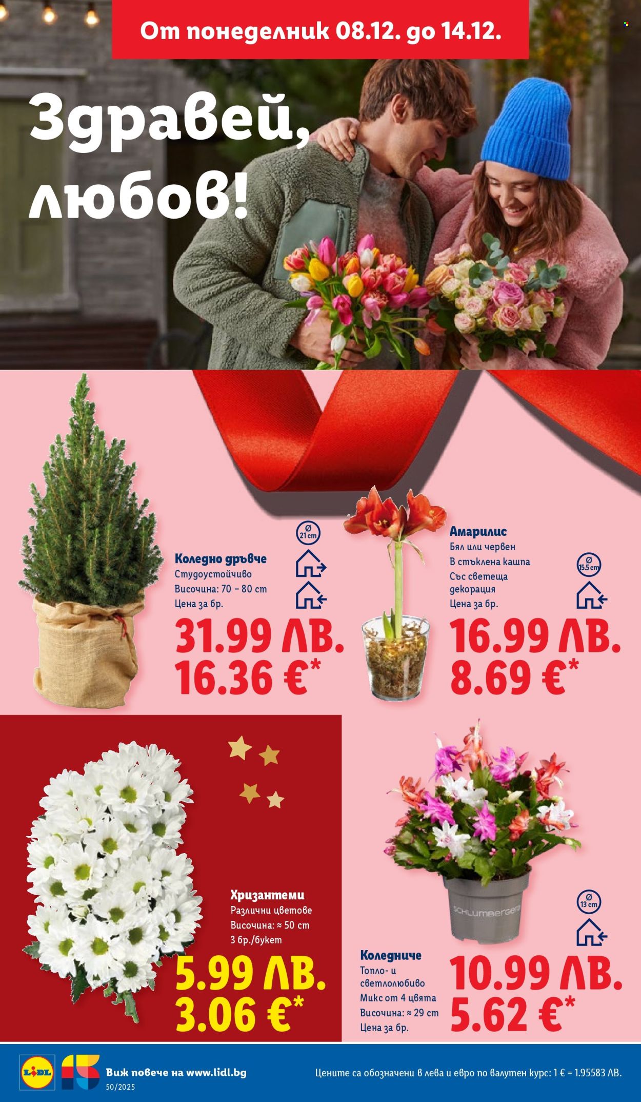 Брошура на Лидл - 08.12.2025 - 14.12.2025. Страница 54