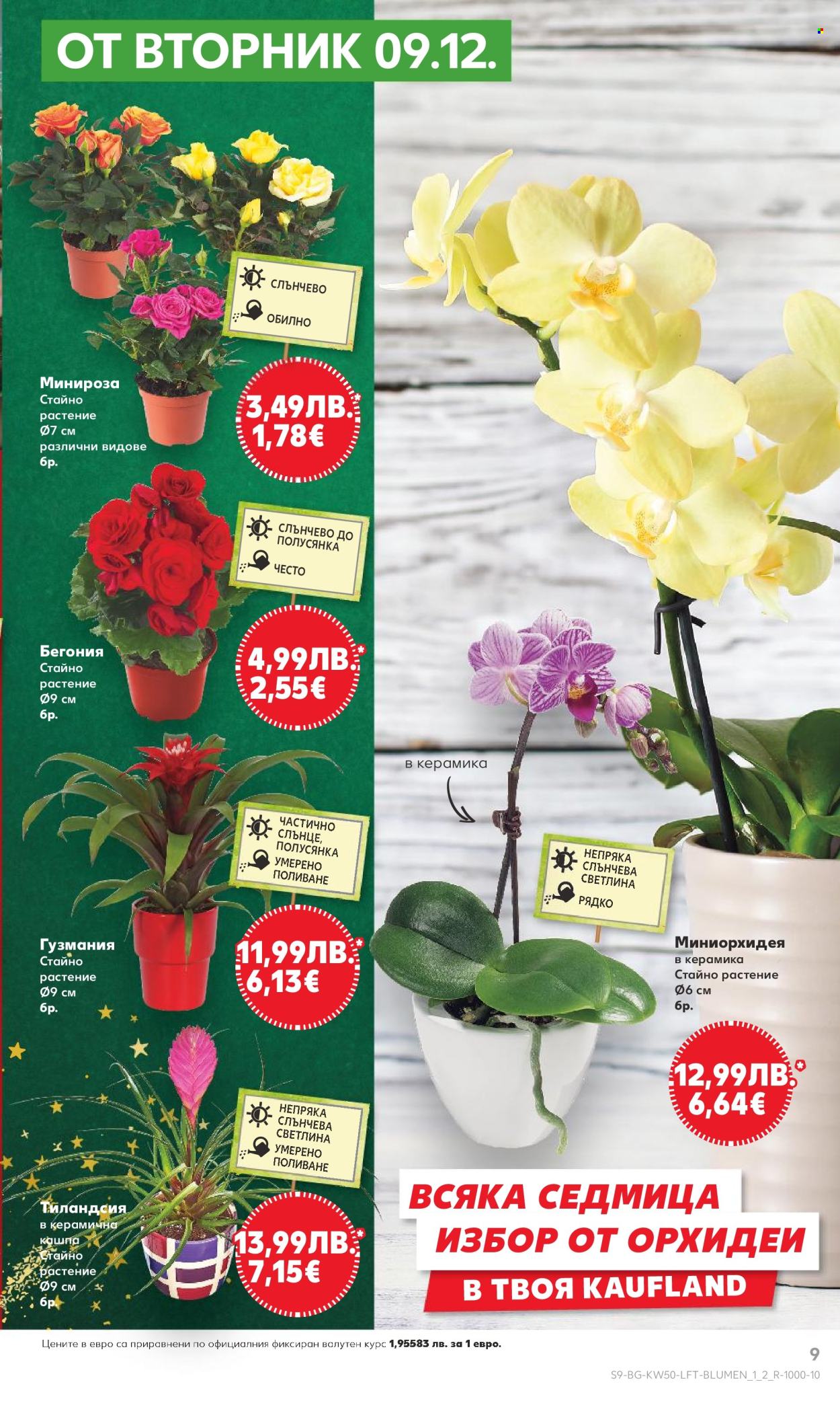 Брошура на Кауфланд - 08.12.2025 - 14.12.2025. Страница 9