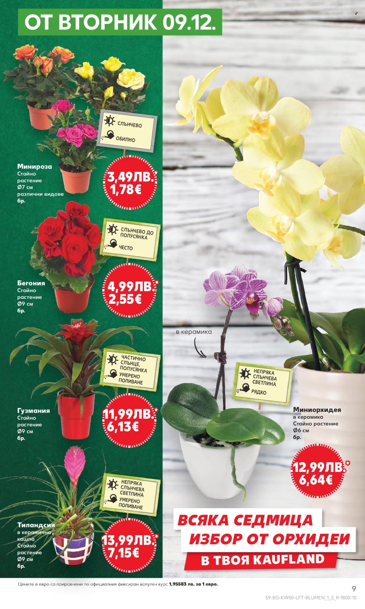 Брошура на Кауфланд - 08.12.2025 - 14.12.2025. Страница 9