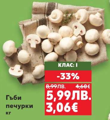 Гъби печурки кг