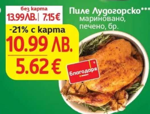 Пиле Лудогорско