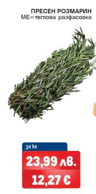 ПРЕСЕН РОЗМАРИН