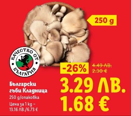 Български гъби кладница