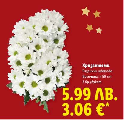 Хризантеми