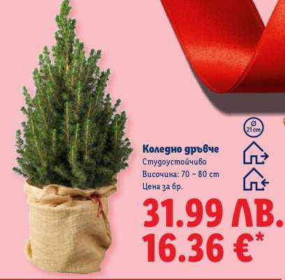 Коледно дръвче