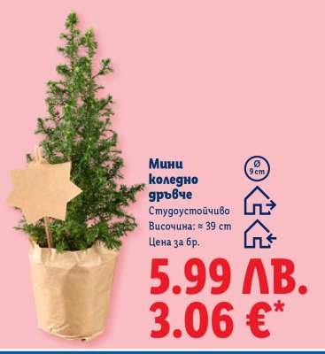 Мини коледно дръвче