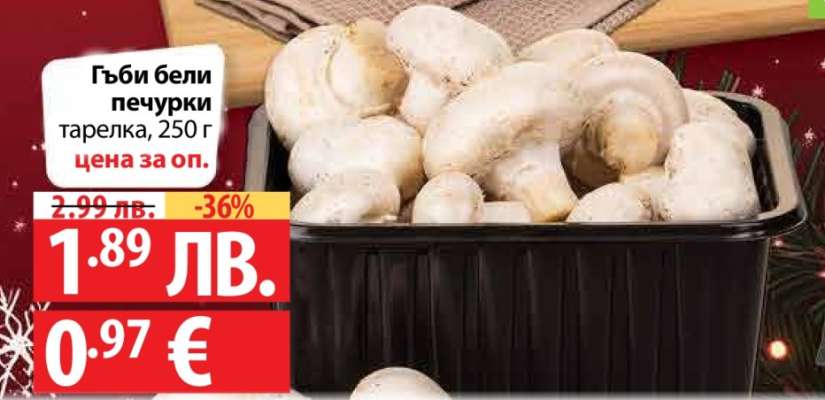 Гъби бели печурки