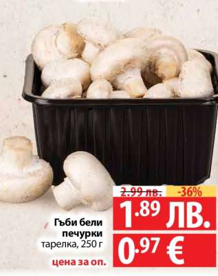 Гъби бели печурки