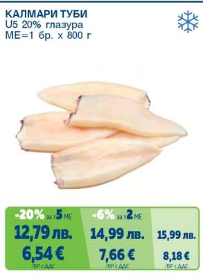 Калмари туби