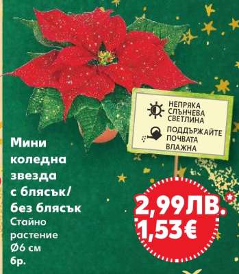 Мини коледна звезда