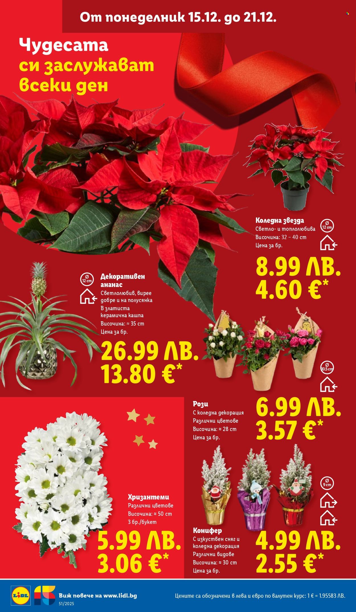 Брошура на Лидл - 15.12.2025 - 21.12.2025. Страница 56