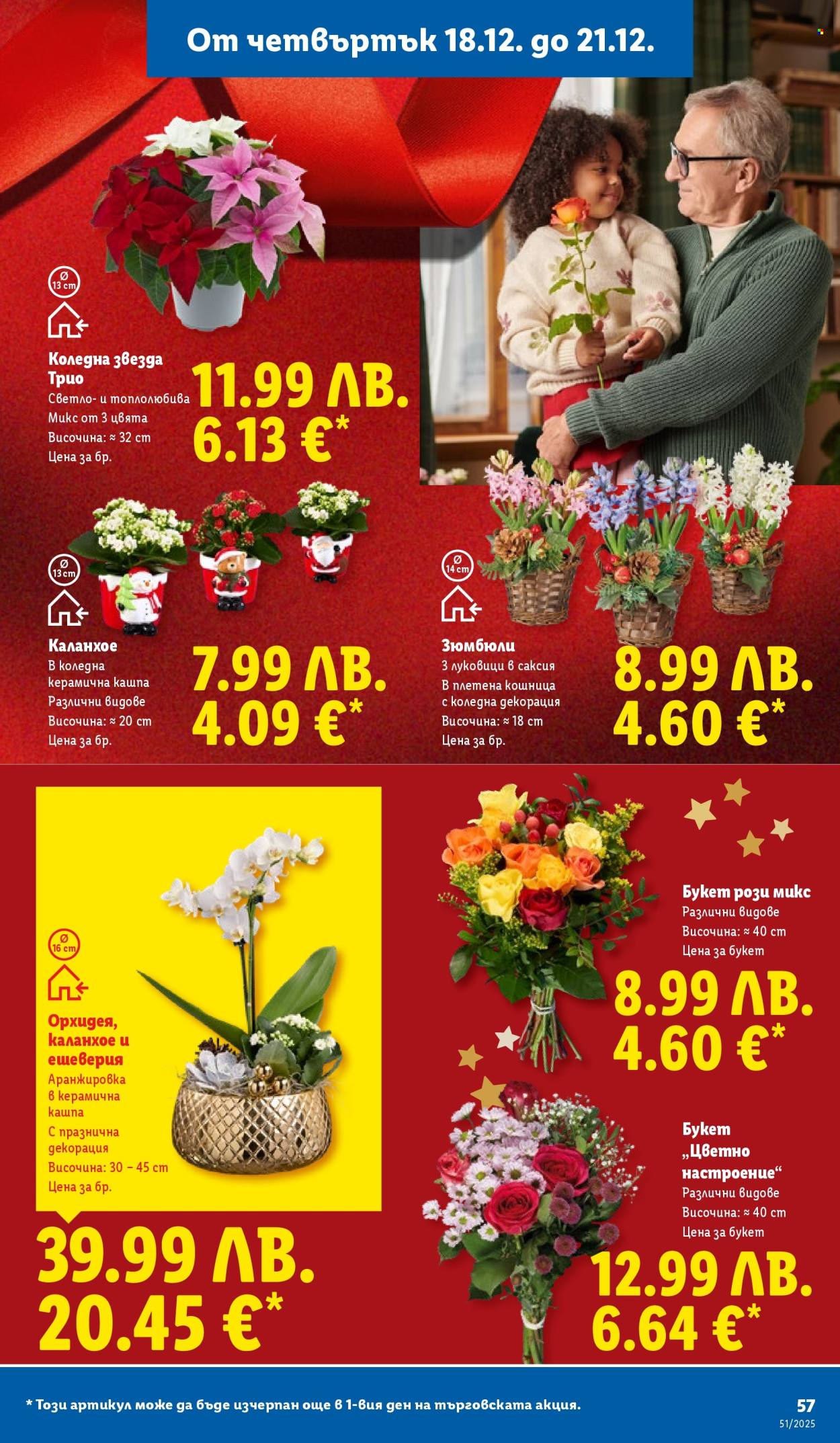 Брошура на Лидл - 15.12.2025 - 21.12.2025. Страница 57