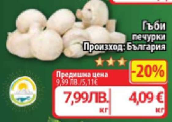 Гъби печурки