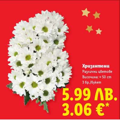 Хризантеми